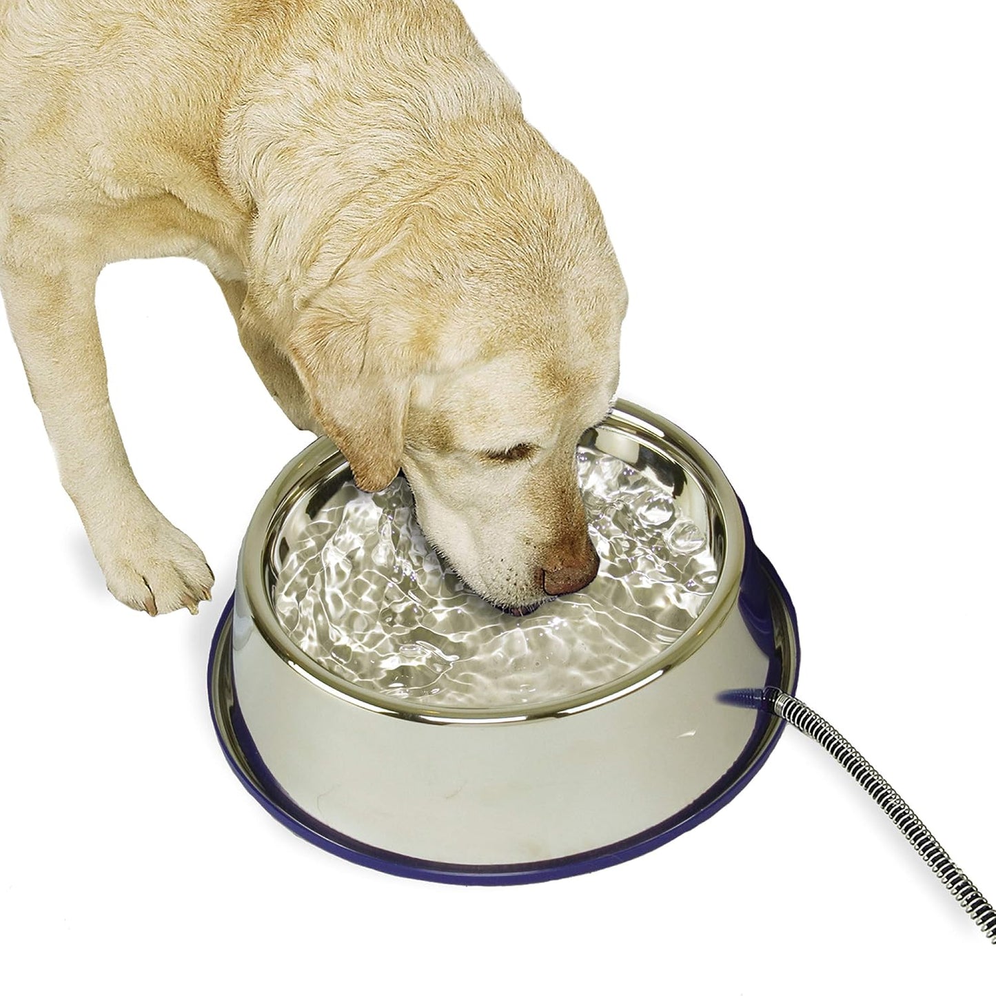 K&H Pet Products Thermal-Bowl Heated Water Bowl for Cats & Dogs Outside, Safety Listed Outdoor Heated Dog Dish for Pets, Automatic No Freeze, Anti Chew Cord - 96 Ounces Blue 25W - Image 11