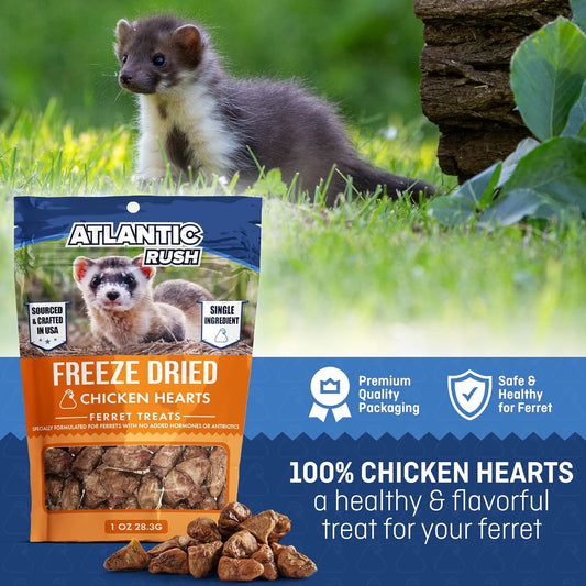ThePamperedFerret raw single ingredient ferret snacks bag close up