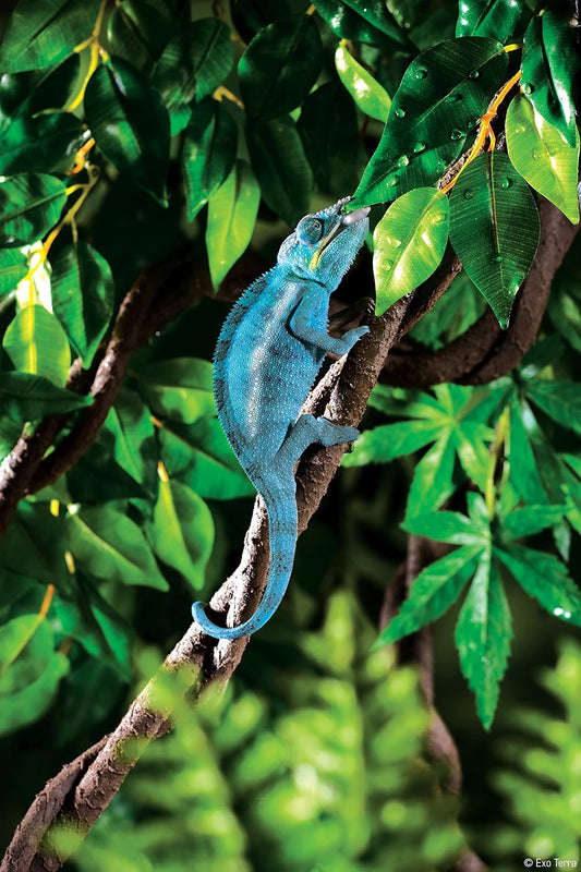 Flexible Exo Terra Jungle Vine twisted in a terrarium setup