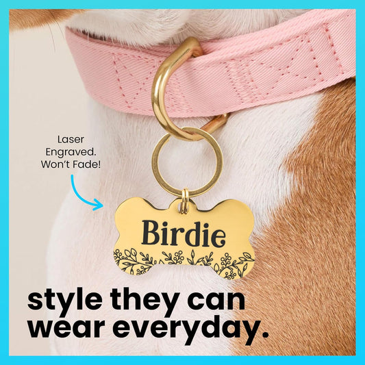 ExcelMark premium gold round pet safety tag attached to a dog collar