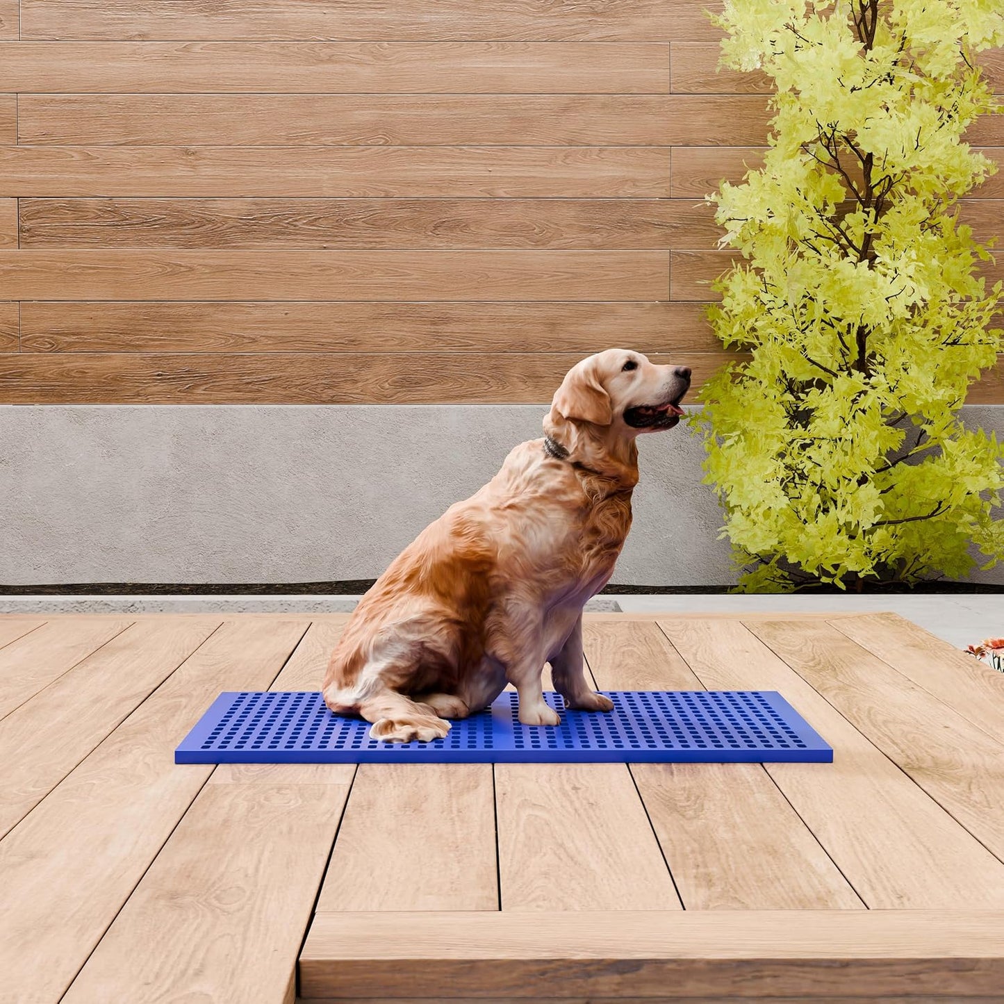 FoQualy blue pet floor pad removed from cage for easy cleaning