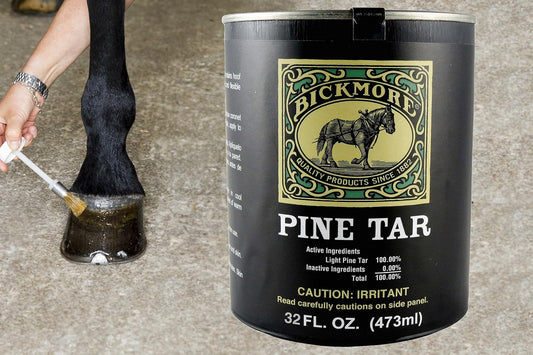 Bickmore pure natural pine tar container topical antiseptic for horse hooves