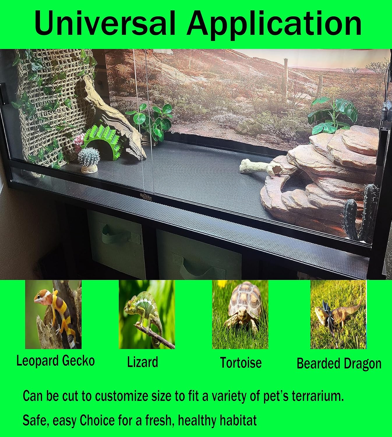 Large reptile carpet installed inside a premium glass reptile terrarium setup.