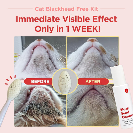 Close up of the JAYU PET double sided silicone brush detailing the gentle exfoliating textures for cat chin acne.