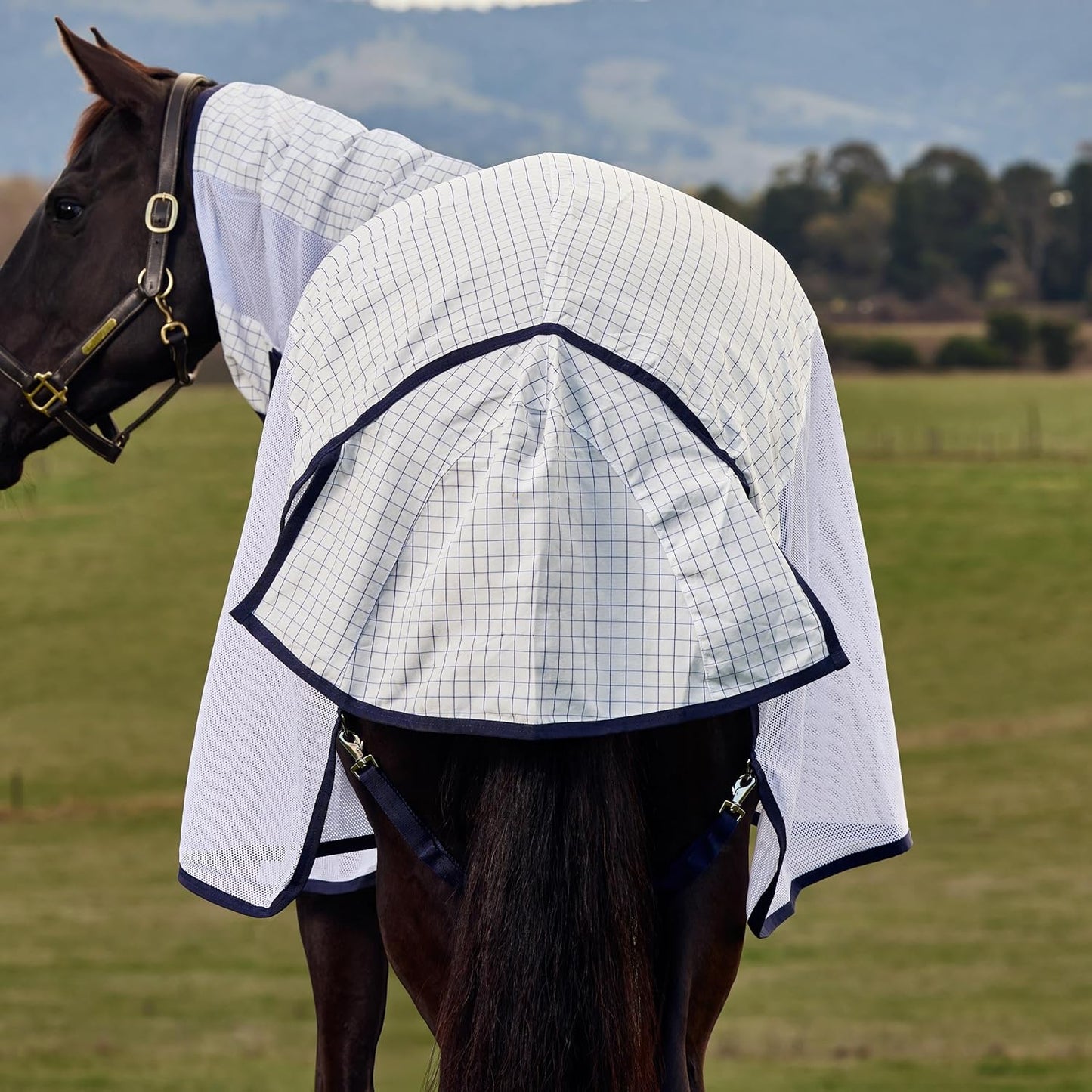 Full view of the WeatherBeeta Airstream white and navy horse turnout sheet on a flat surface
