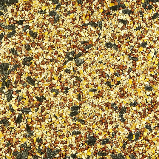 Close up of Kaytee All American bird seed blend texture