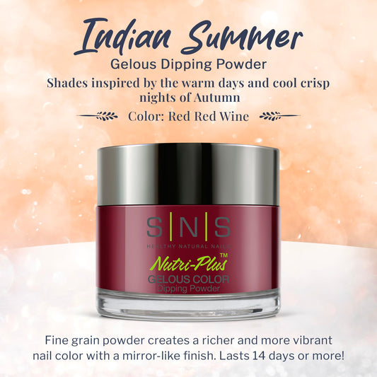 SNS Indian Summer IS10 deep red dipping powder jar top view