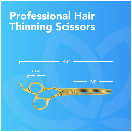 Equinox International Japanese stainless steel thinning shears showing detailed texturizing teeth