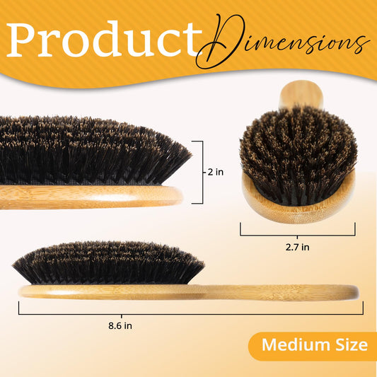 Close up of Belula soft natural boar bristles for thin hair