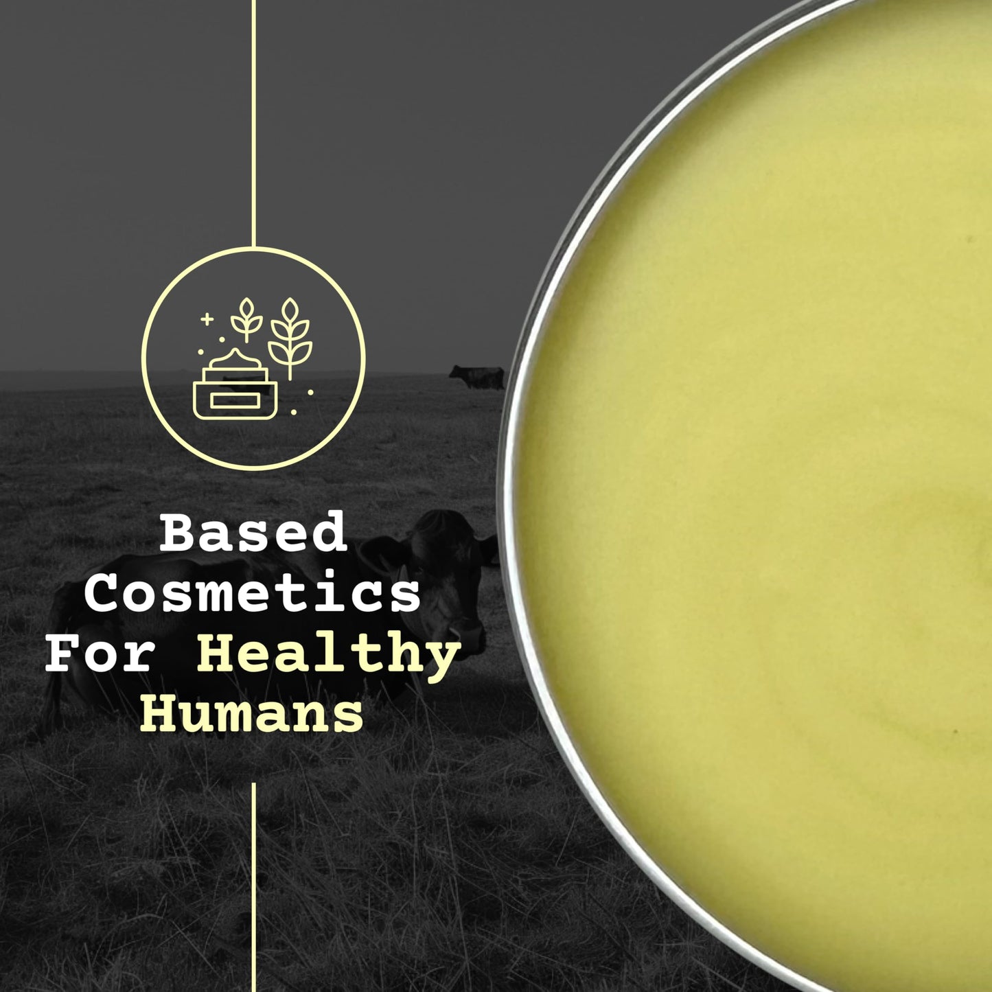 The Tallowed Truth F-Balm original formula product box