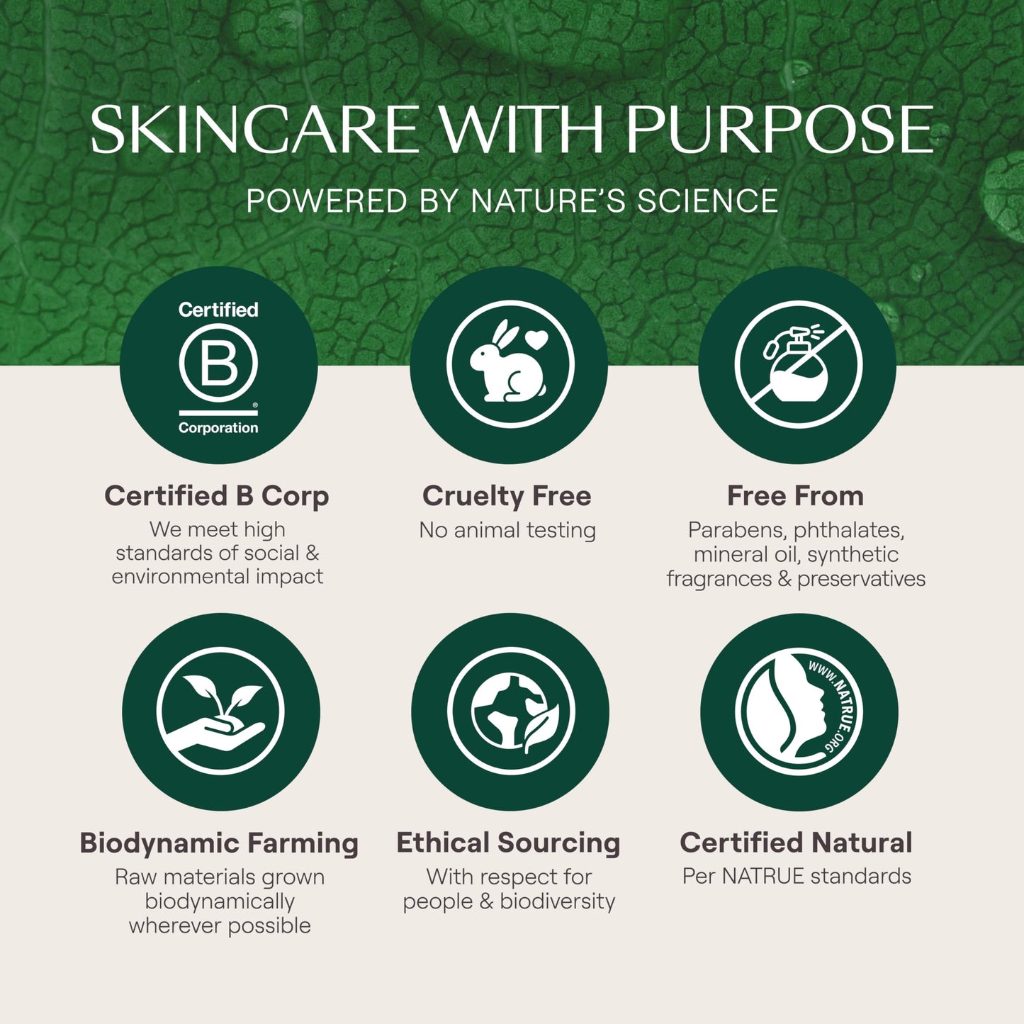 Weleda Skin Food Light natural makeup primer and daily body cream