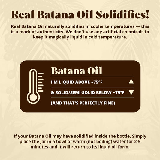 Vital Strands organic Batana oil glass dropper close up