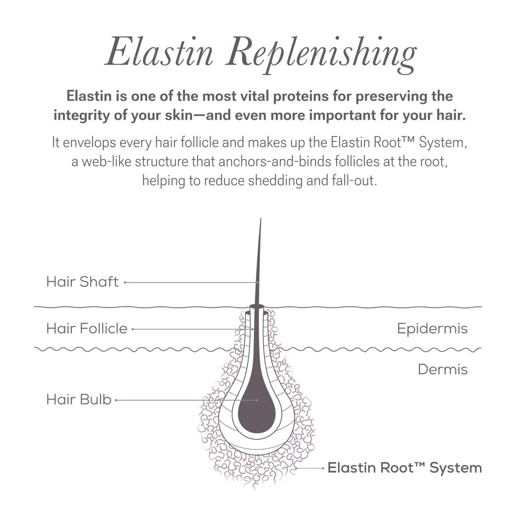 NULASTIN professional lash and brow enhancer kit close up