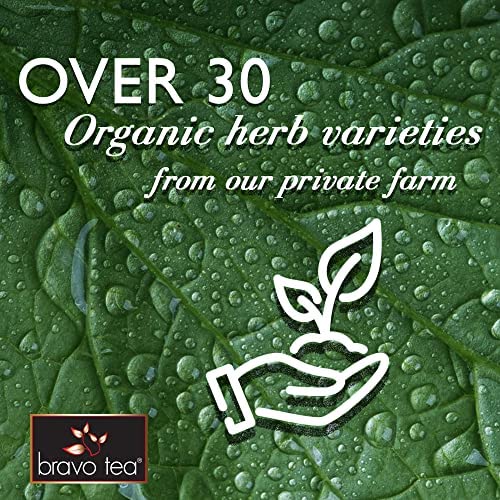 Bravo Tea Lion's Mane lifestyle tea serving suggestion