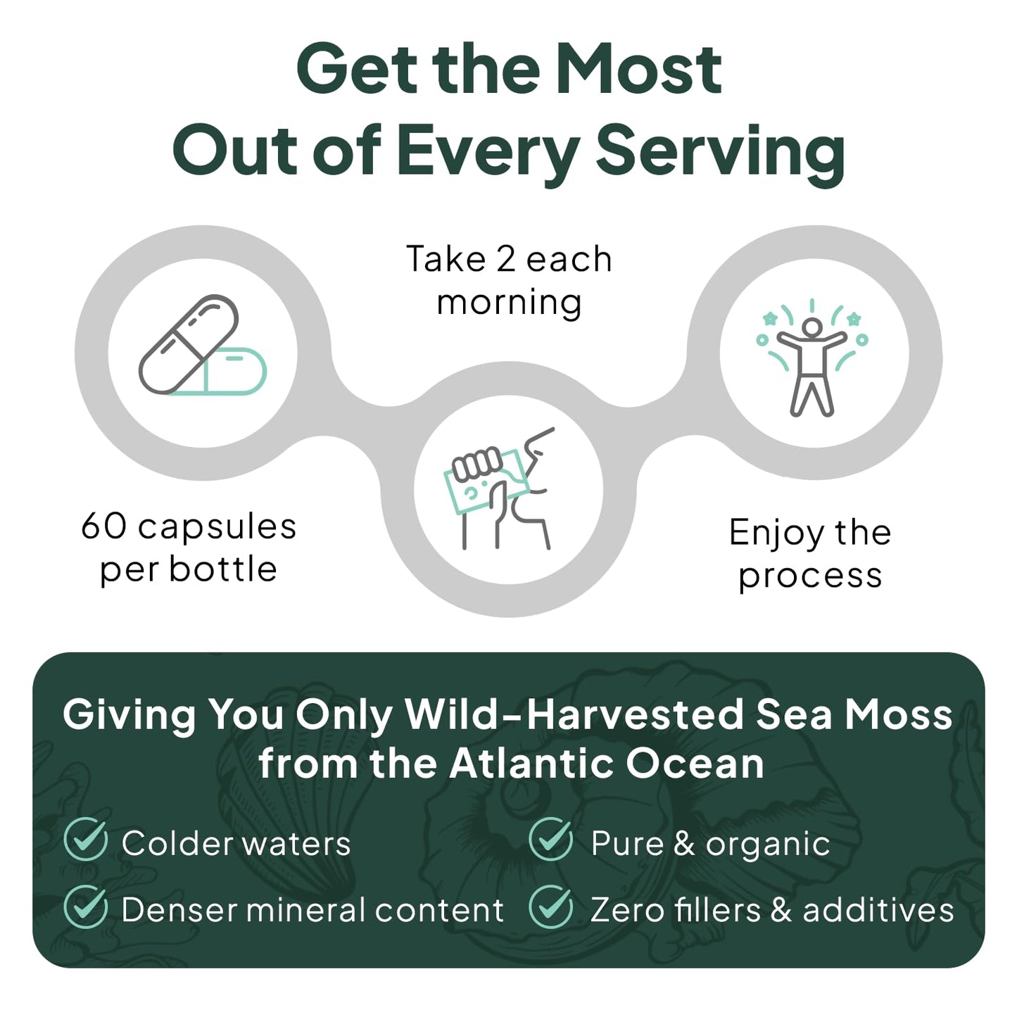 Authentic USA imported Organics Ocean wild sea moss capsules bottle standing upright on a clean background.
