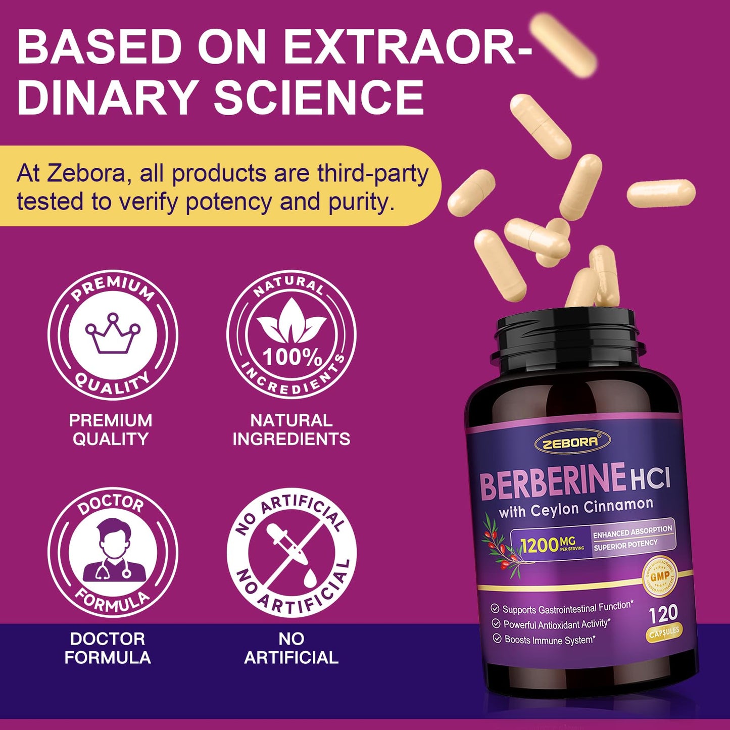 Zebora Premium Berberine HCL GMP certified seal