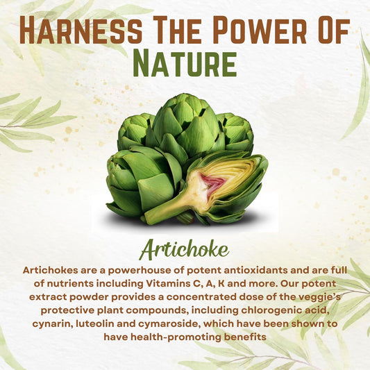 Go Nutra Artichoke Extract supplement back label detailing the serving size and five percent cynarin standardization.