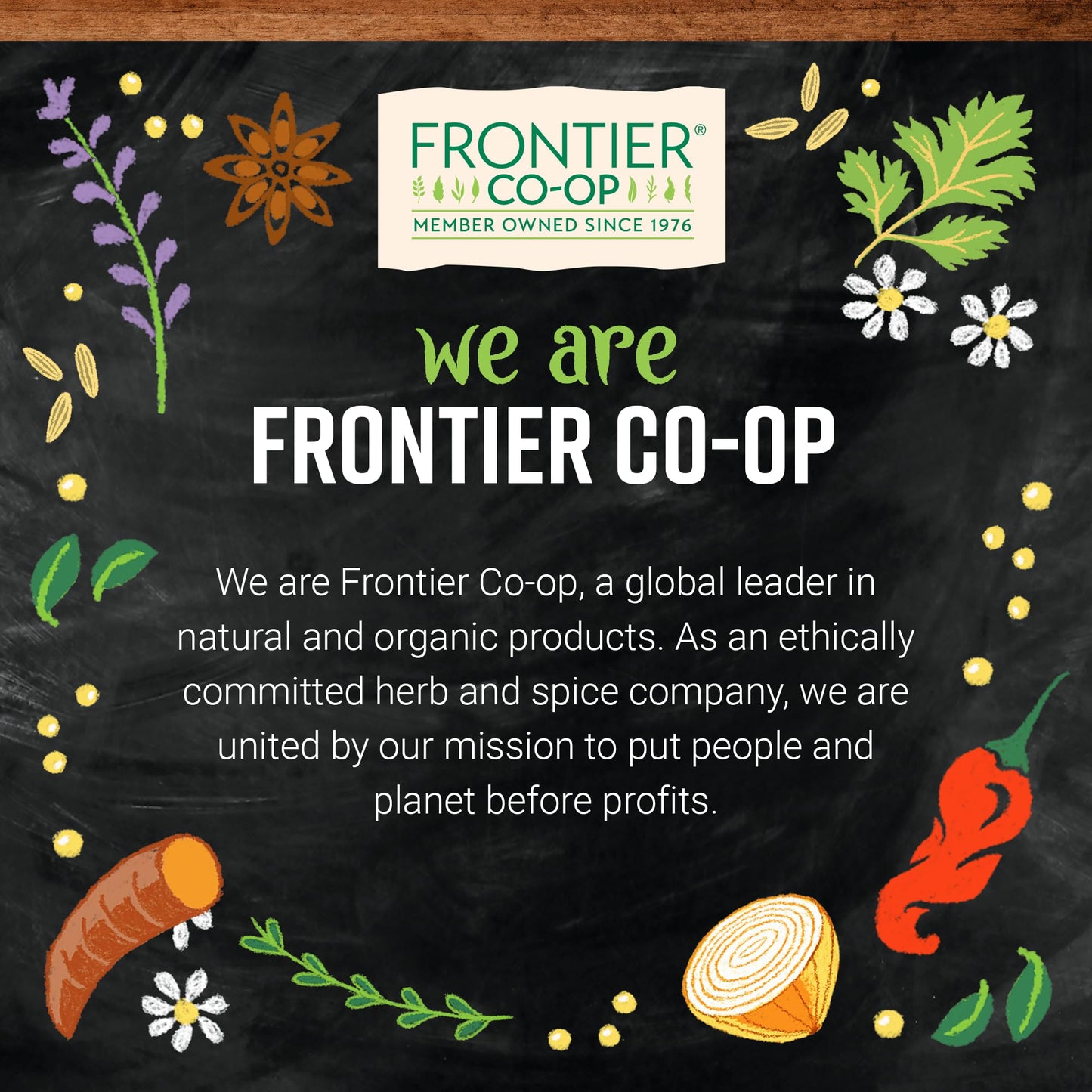 Frontier Co-op bulk astragalus root slices packaging back view