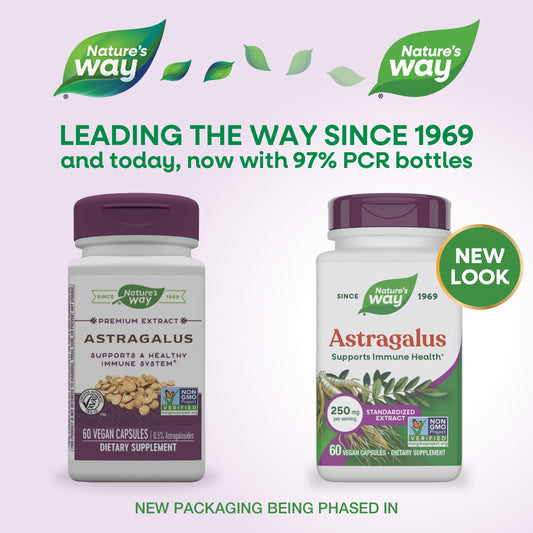 Nature's Way Astragalus 250mg supplement facts label showing standardized extract ingredients