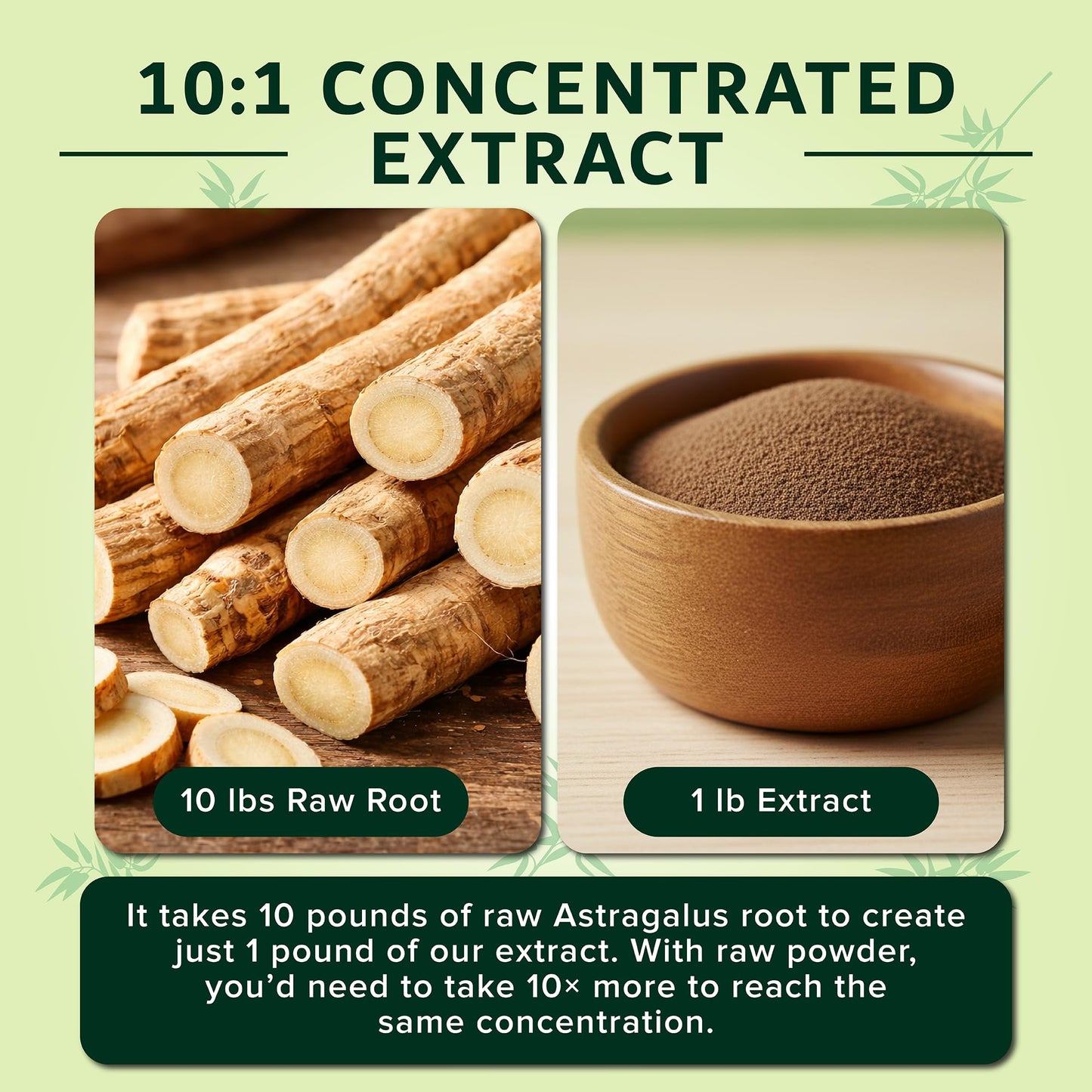 Authentic imported USA beauty and wellness herbal immune tonic packaging detail