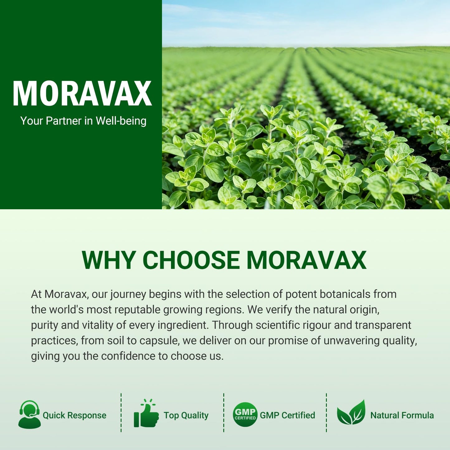 Moravax premium two in one wildcrafted oregano and black seed oil formula packaging design.