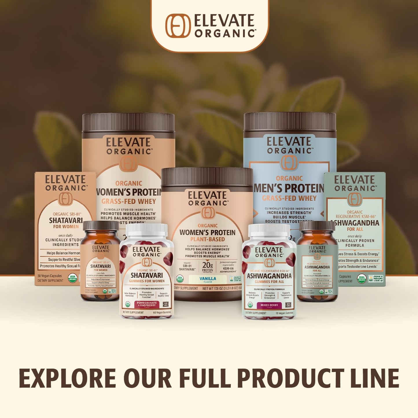 Authentic Elevate Organic Shatavari herbal extract vegan capsules bottle close up view