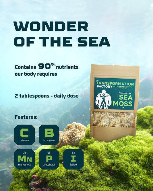 Dried golden beige raw sea moss seaweed out of packaging highlighting authentic texture