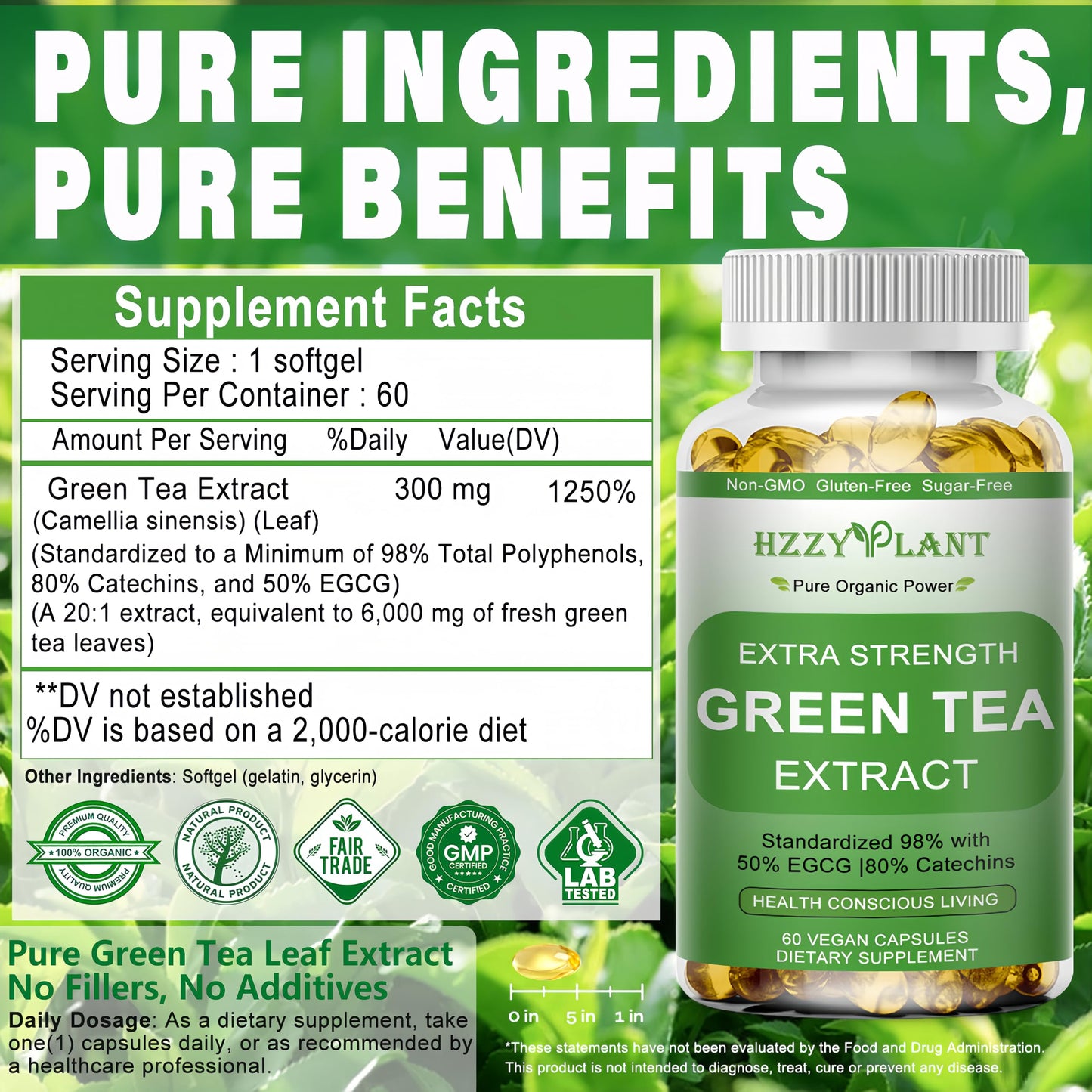 Hzzyplant green tea extract lifestyle and health product display