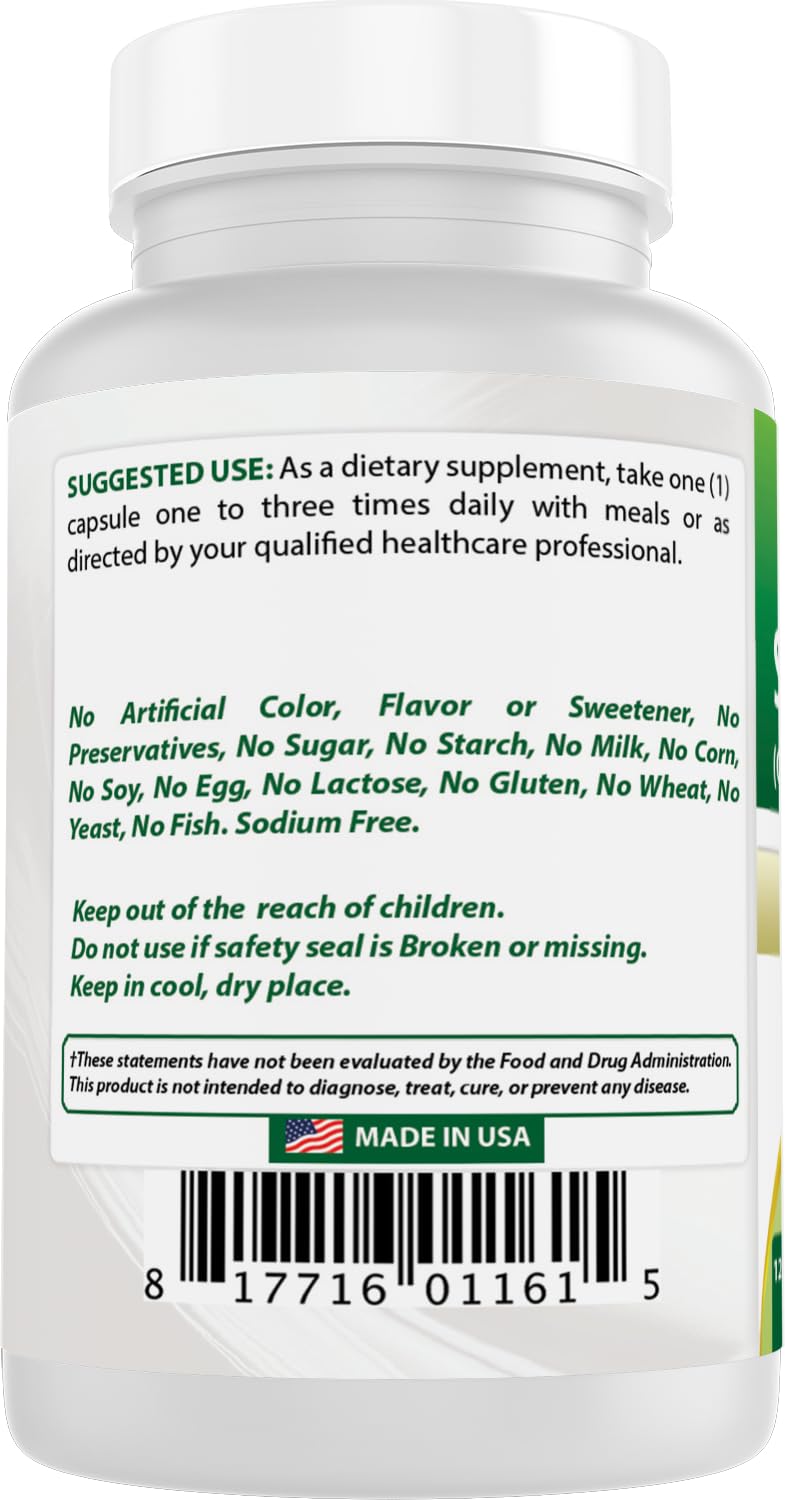 Rudra Retails imported Best Naturals Gymnema Sylvestre 500 mg two bottle set for natural sugar craving management