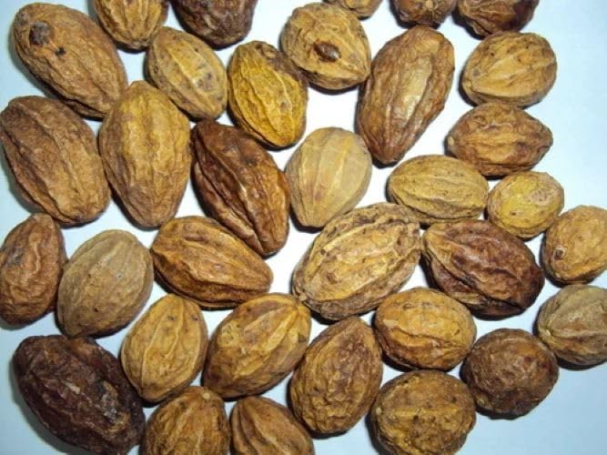 Top quality natural Harad whole fruit for gut wellness