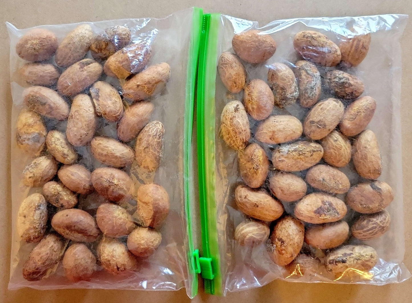 Organic bitter kolanut wellness supplement for energy support