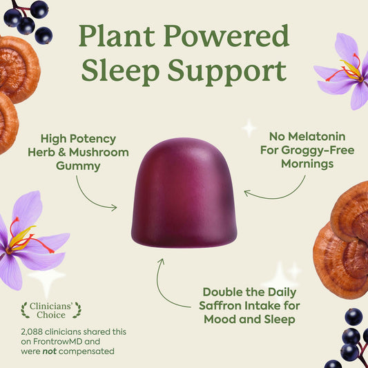 Plant People WonderSleep Sugar Free Reishi Mushroom Sleep Aid wild elderberry flavored gummies