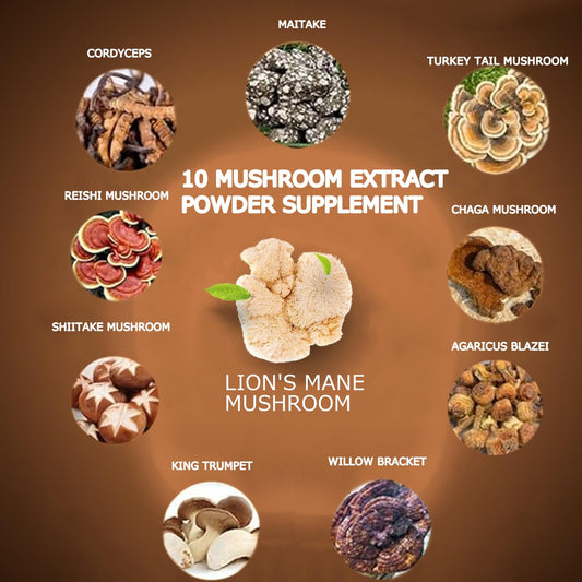 Suiyilary adaptogenic mushroom blend container detailing cognitive focus and immune support benefits