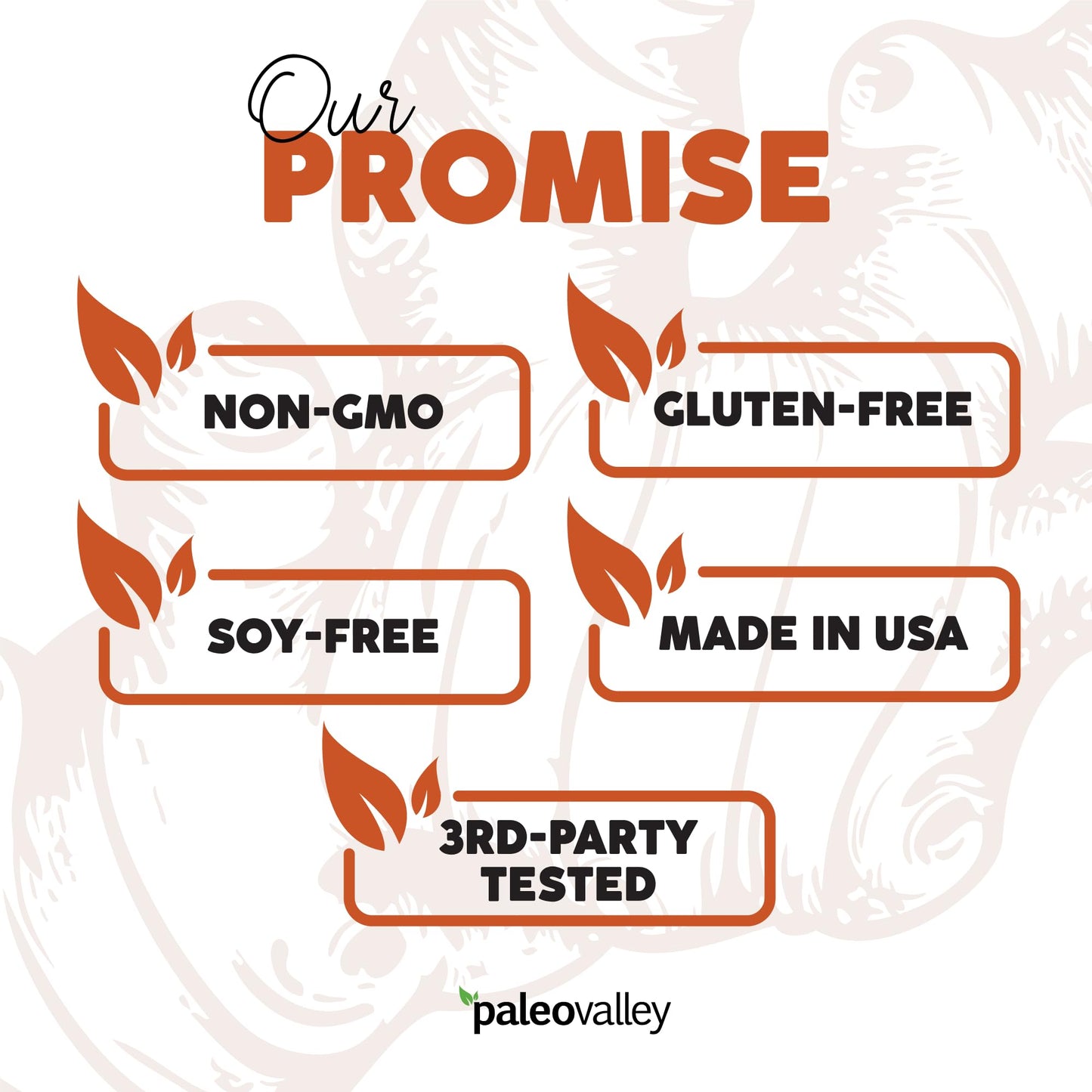 Close-up of Paleovalley organic turmeric supplement packaging