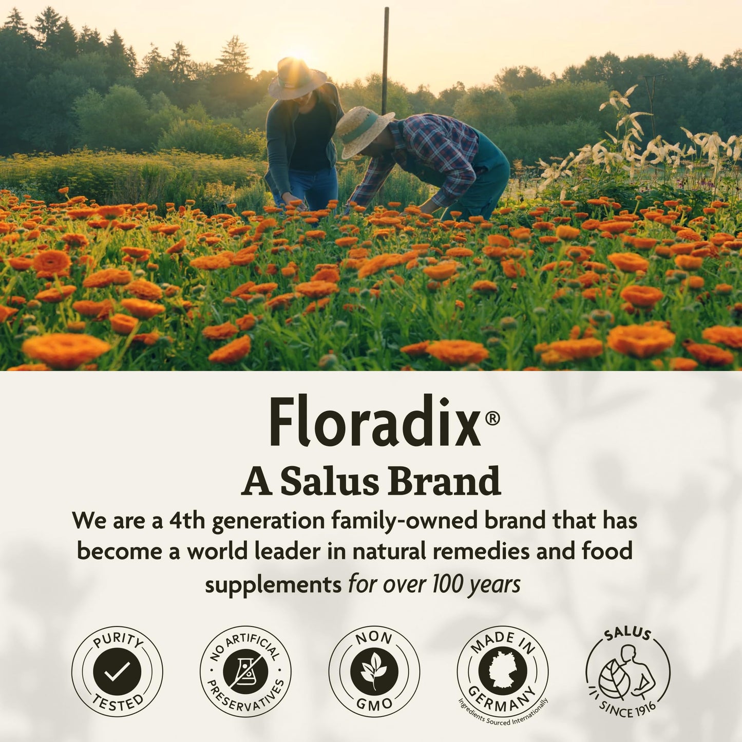 Floradix Gallexier box packaging displaying expiration date and storage instructions
