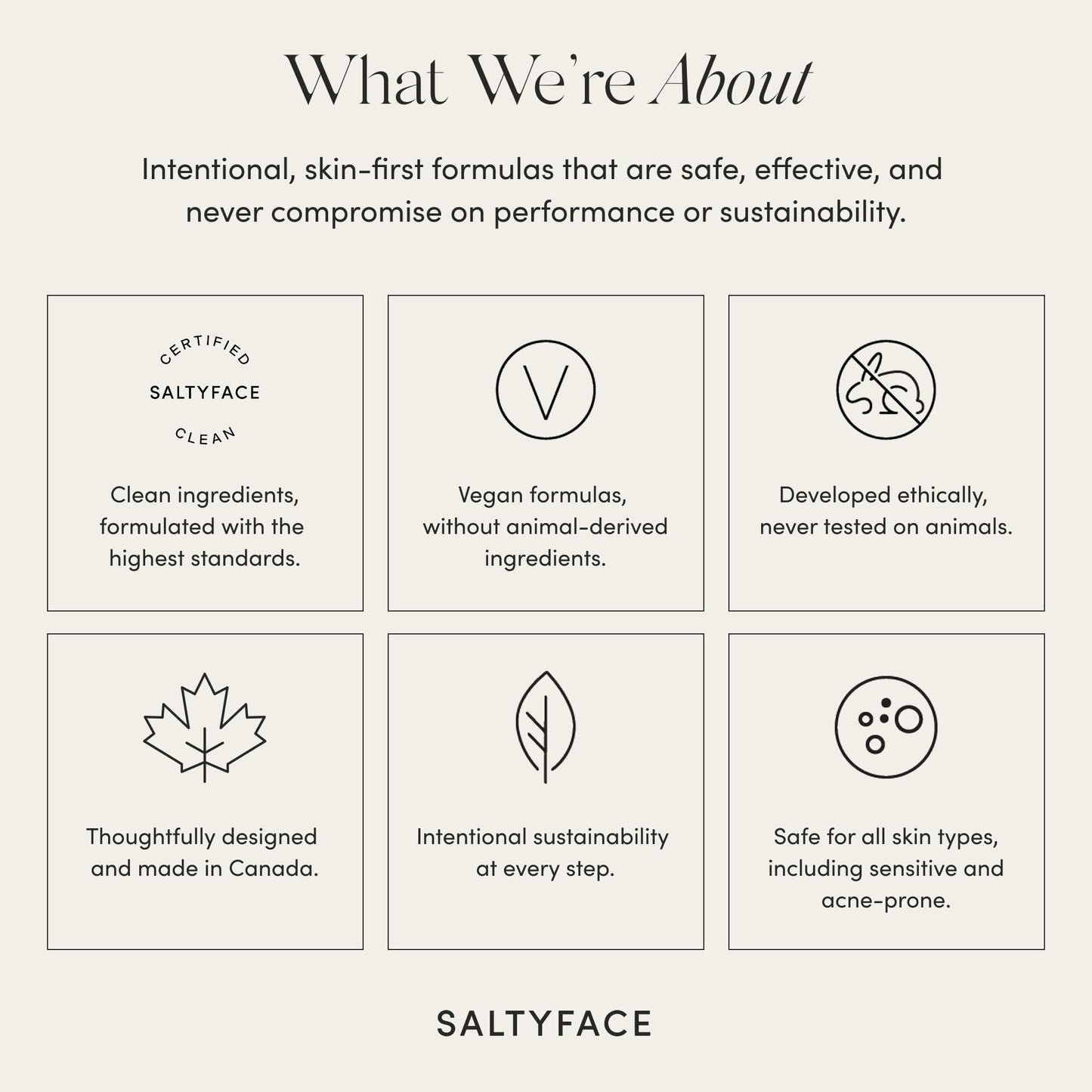 Saltyface Tanning Water Light to Medium authentic import