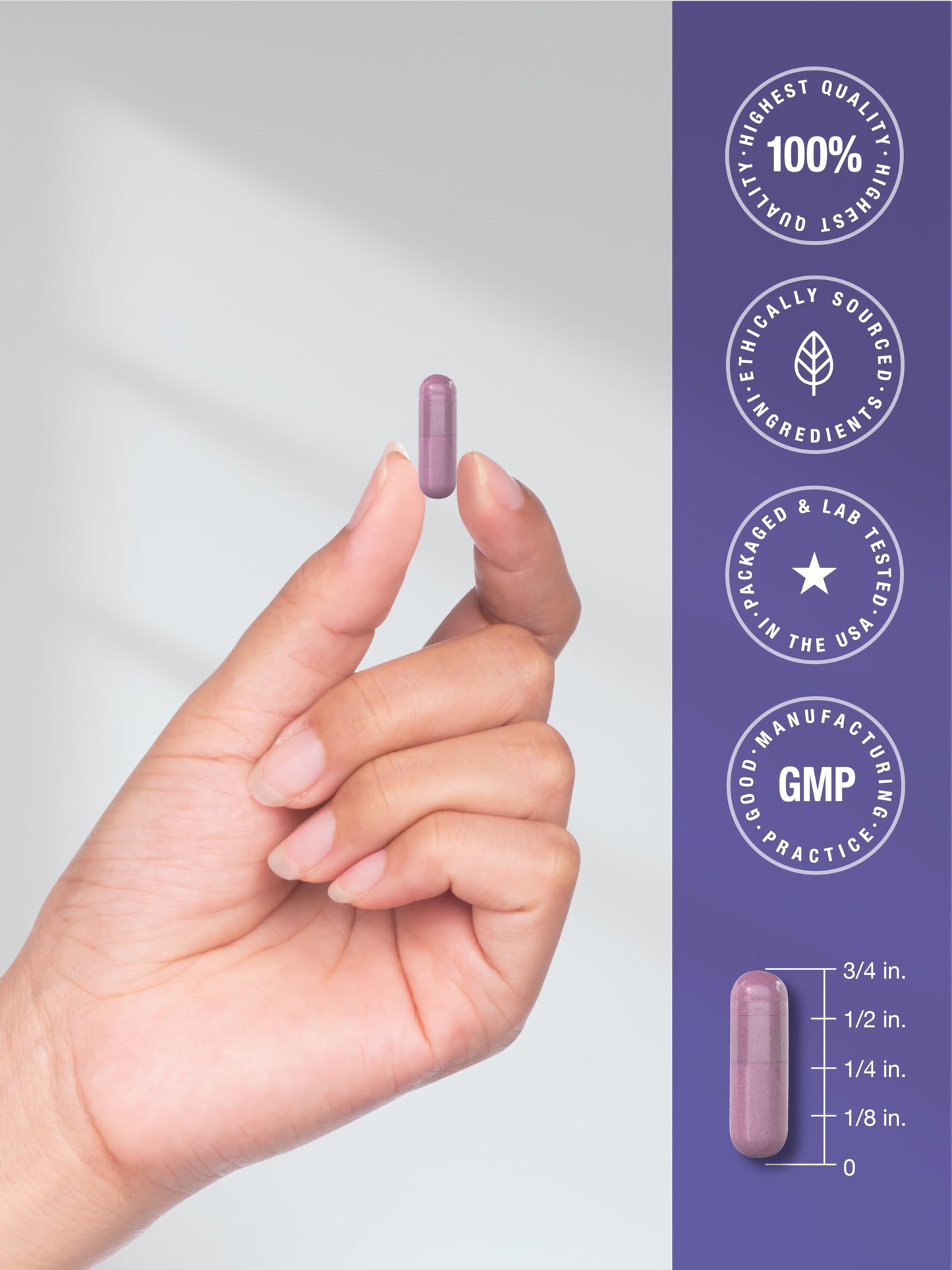 Horbäach Black Elderberry one hundred eighty capsules packaging displaying product purity standards
