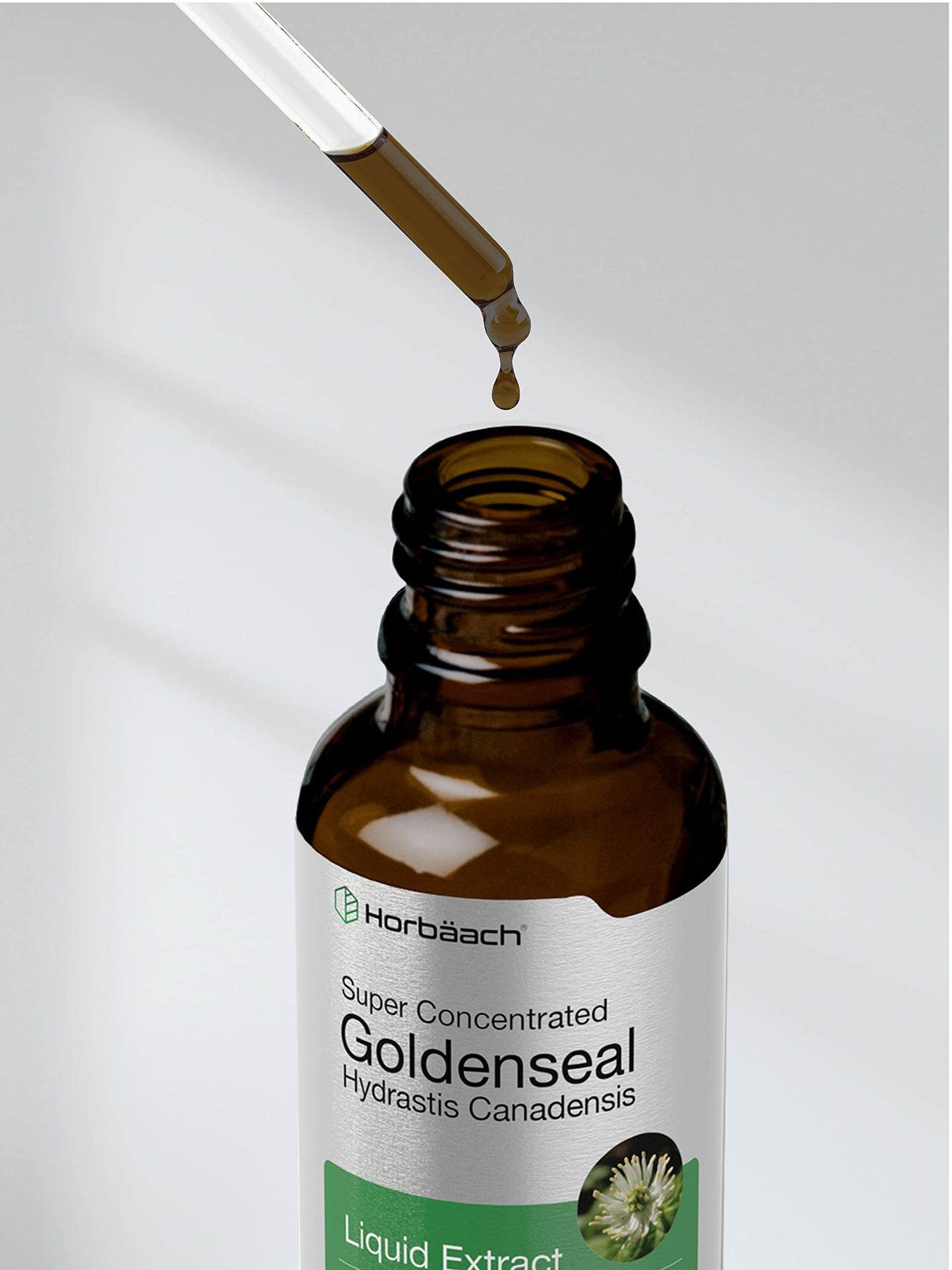 Authentic Horbaach Goldenseal Root 1 fluid ounce bottle displaying the quality assurance seal