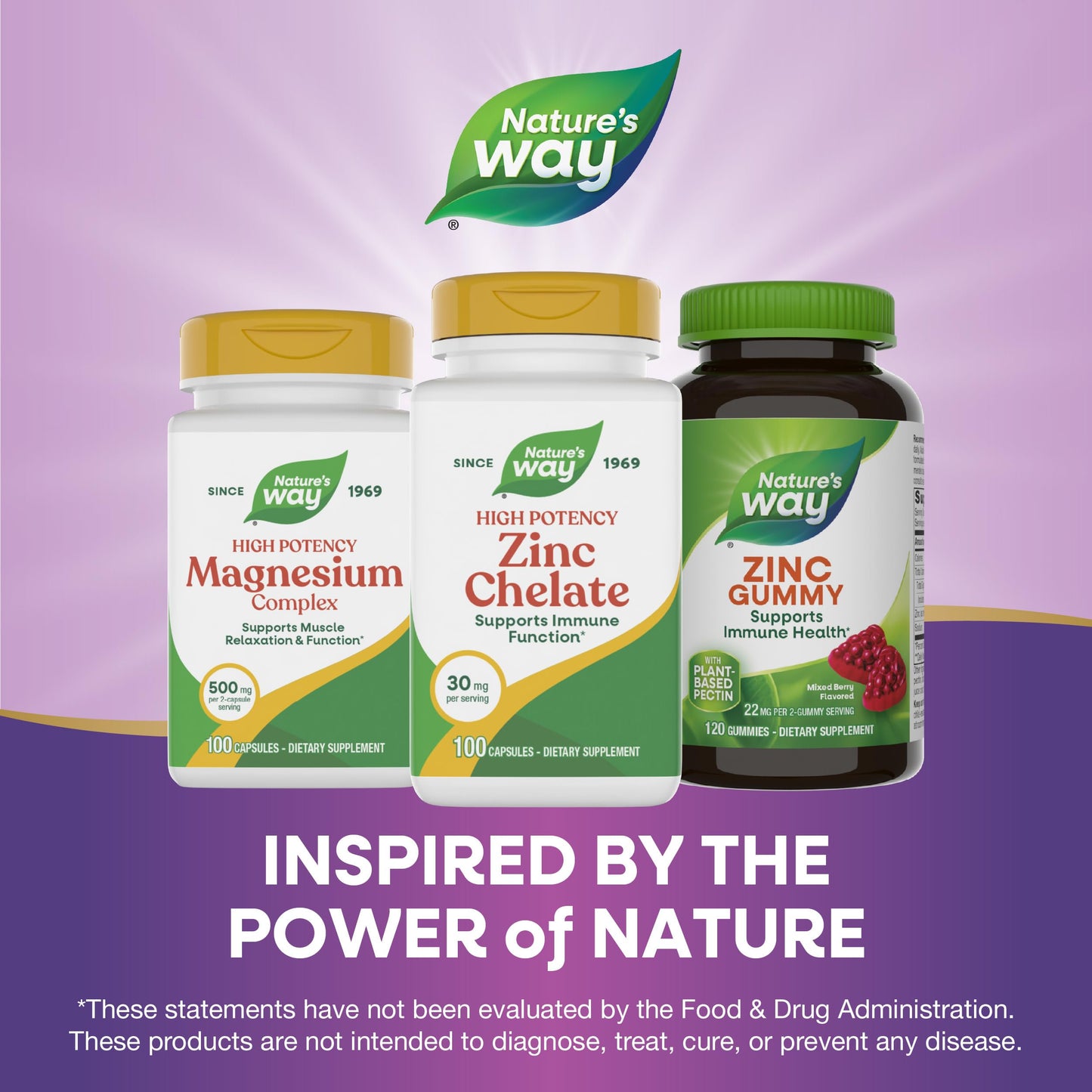 Nature's Way Zinc Chelate premium imported wellness supplement packaging