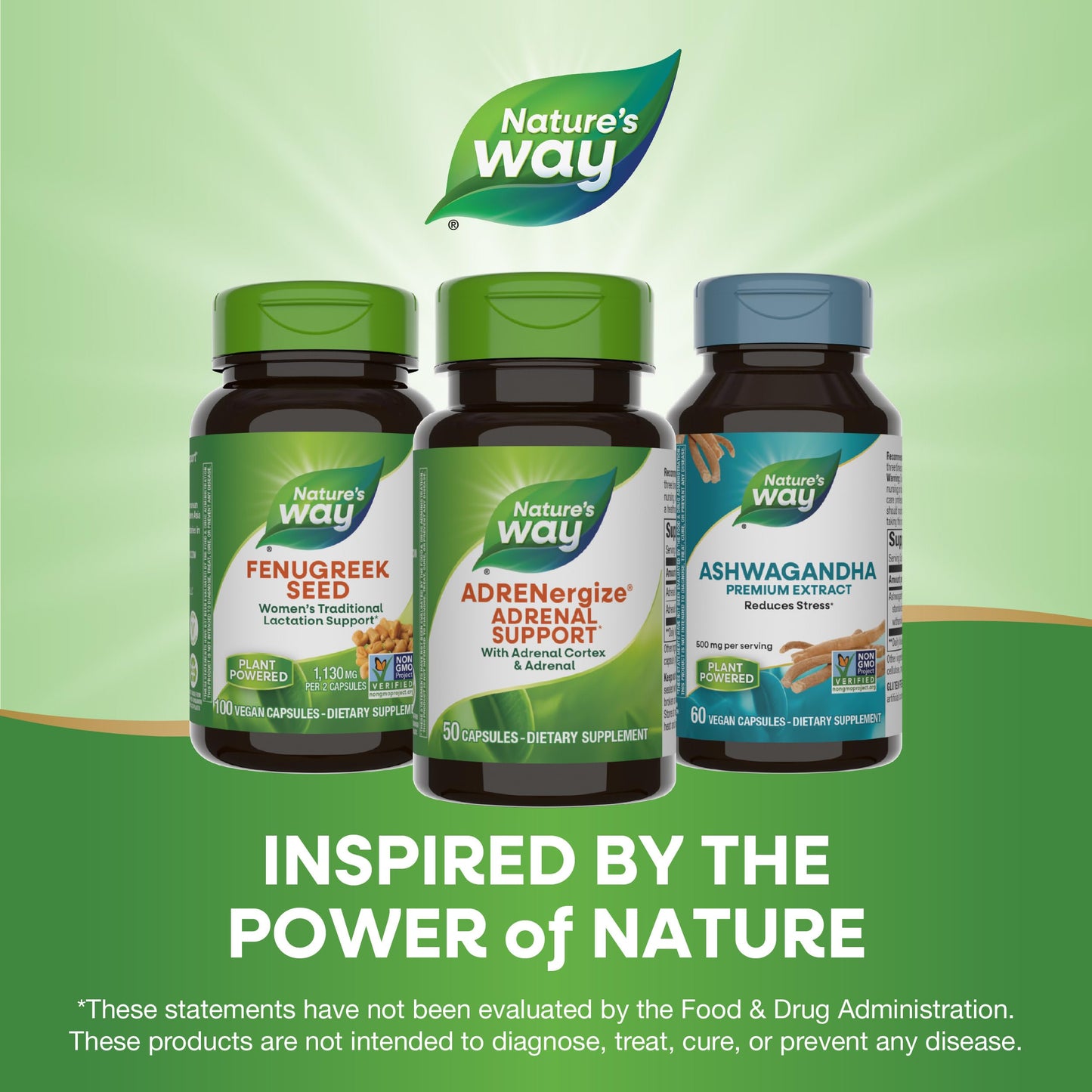 Nature's Way ADRENergize safety seal and manufacturing batch details
