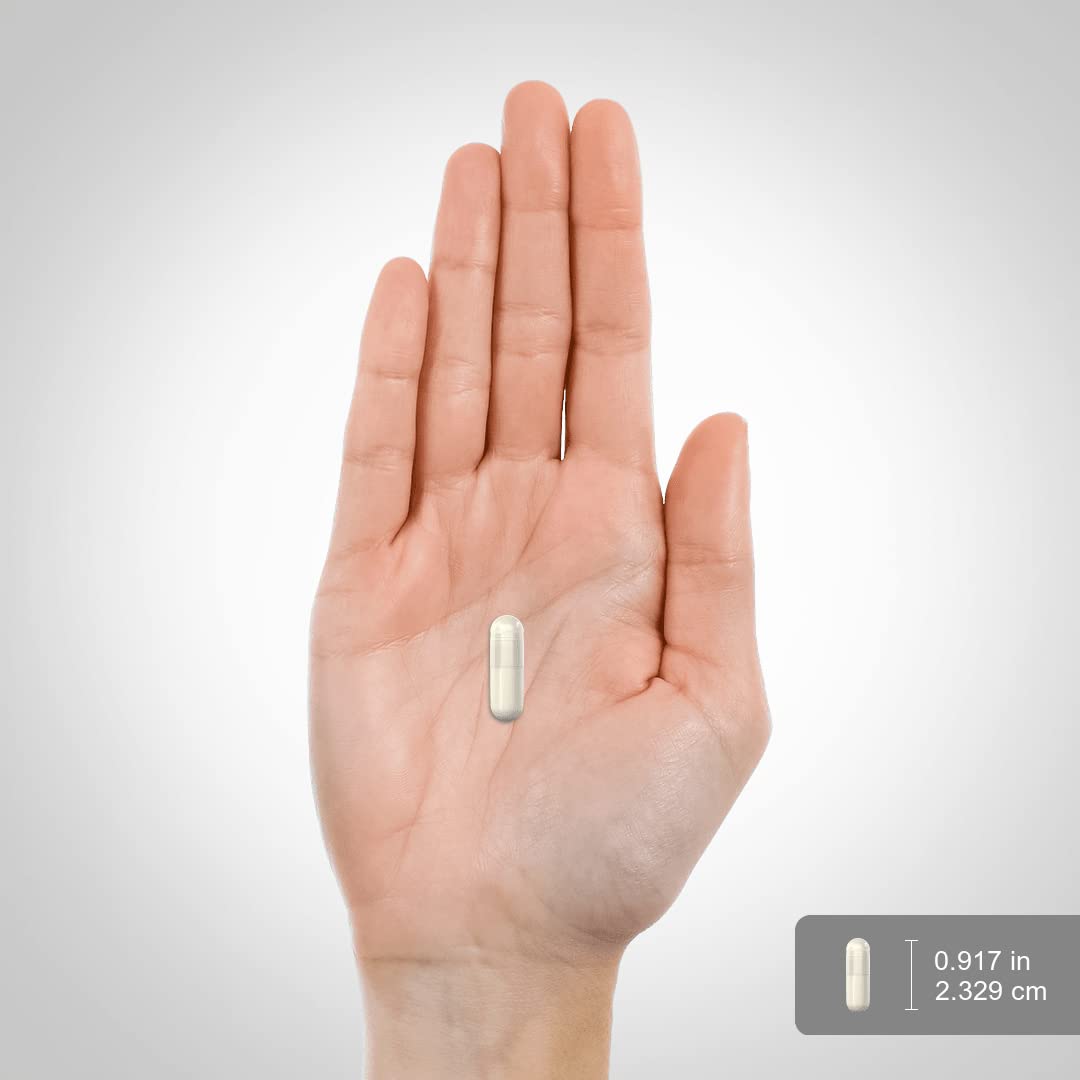 Clear product presentation of the imported joint mobility supplement capsule container against a clean background