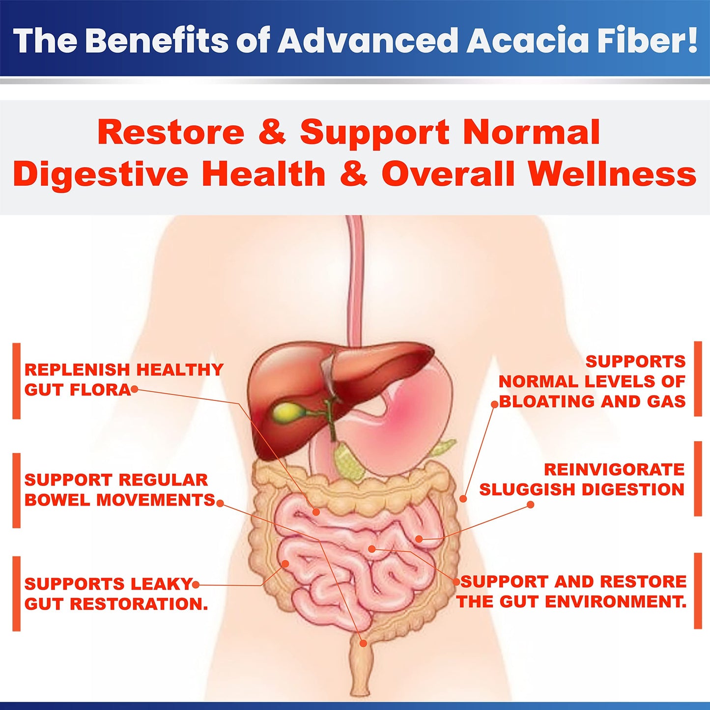 Kidney Restore authentic imported dietary supplement packaging angle view