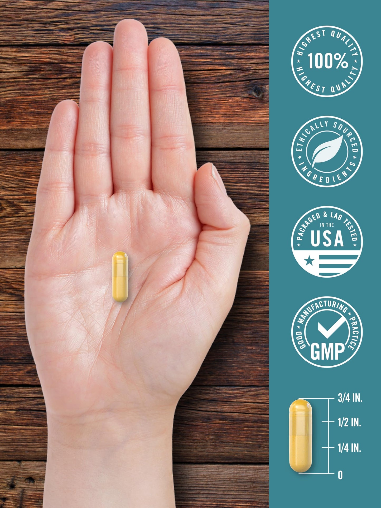 Carlyle Ox Bile capsule size comparison and product quality seal