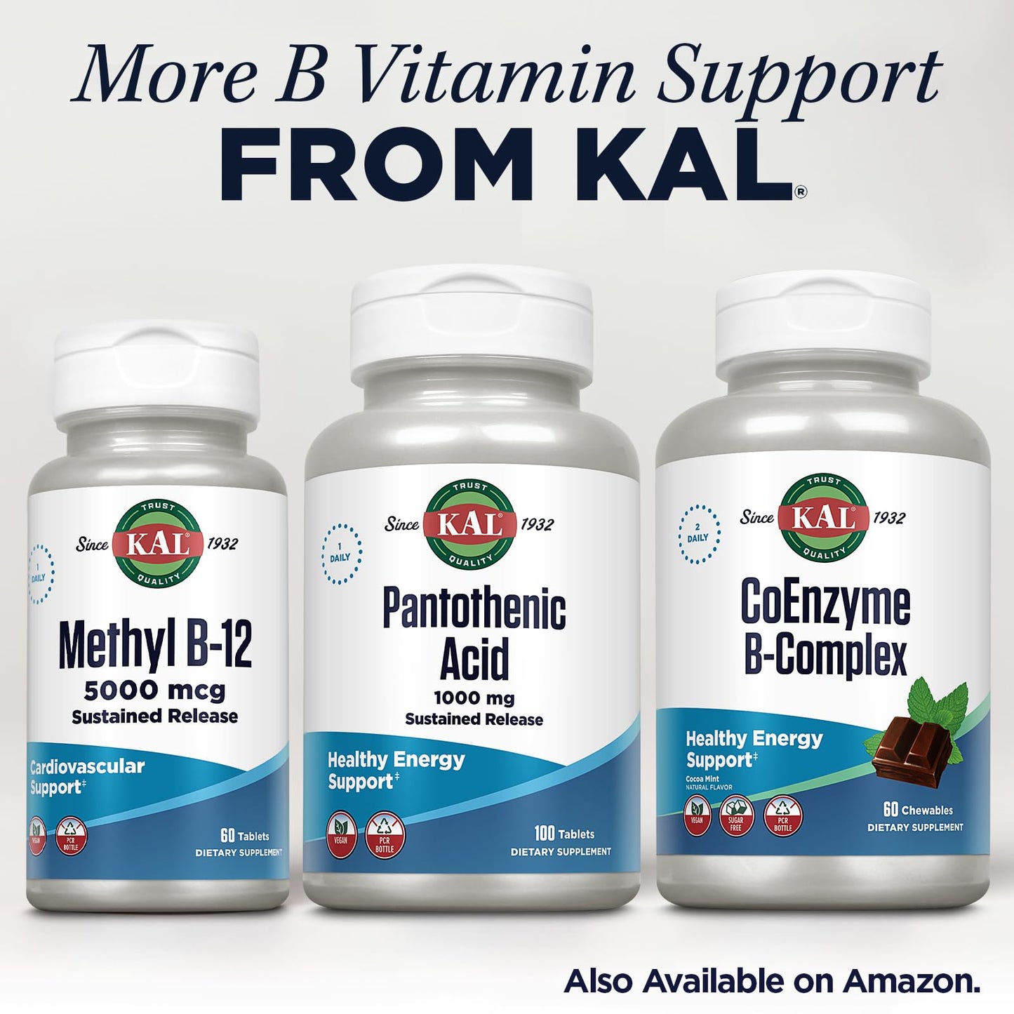 Authentic USA imported Kal Pantothenic Acid packaging