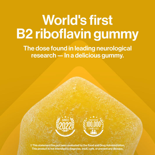 Kindnature Vitamin B2 Riboflavin 400 mg supplement label showing plant based ingredients