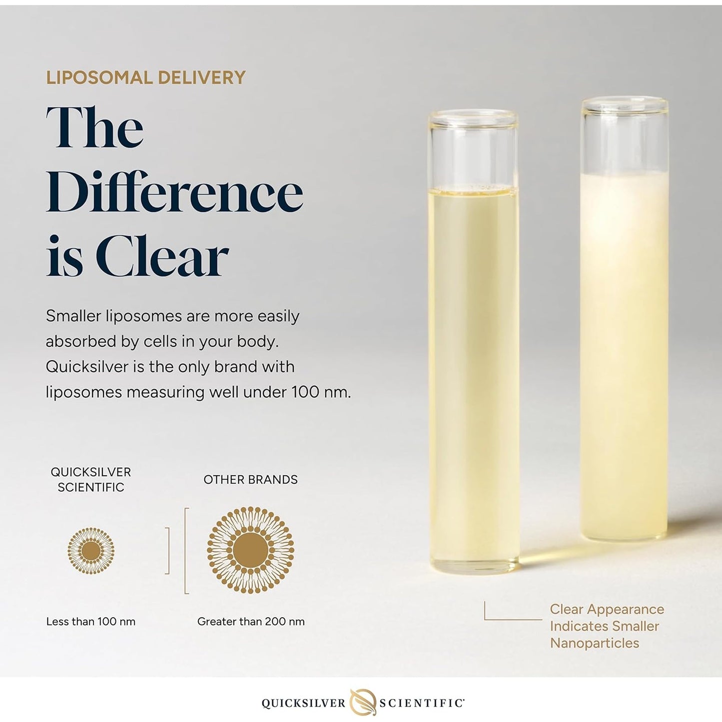 Quicksilver Scientific Methyl B Complex supplement facts and clean ingredient label overview.