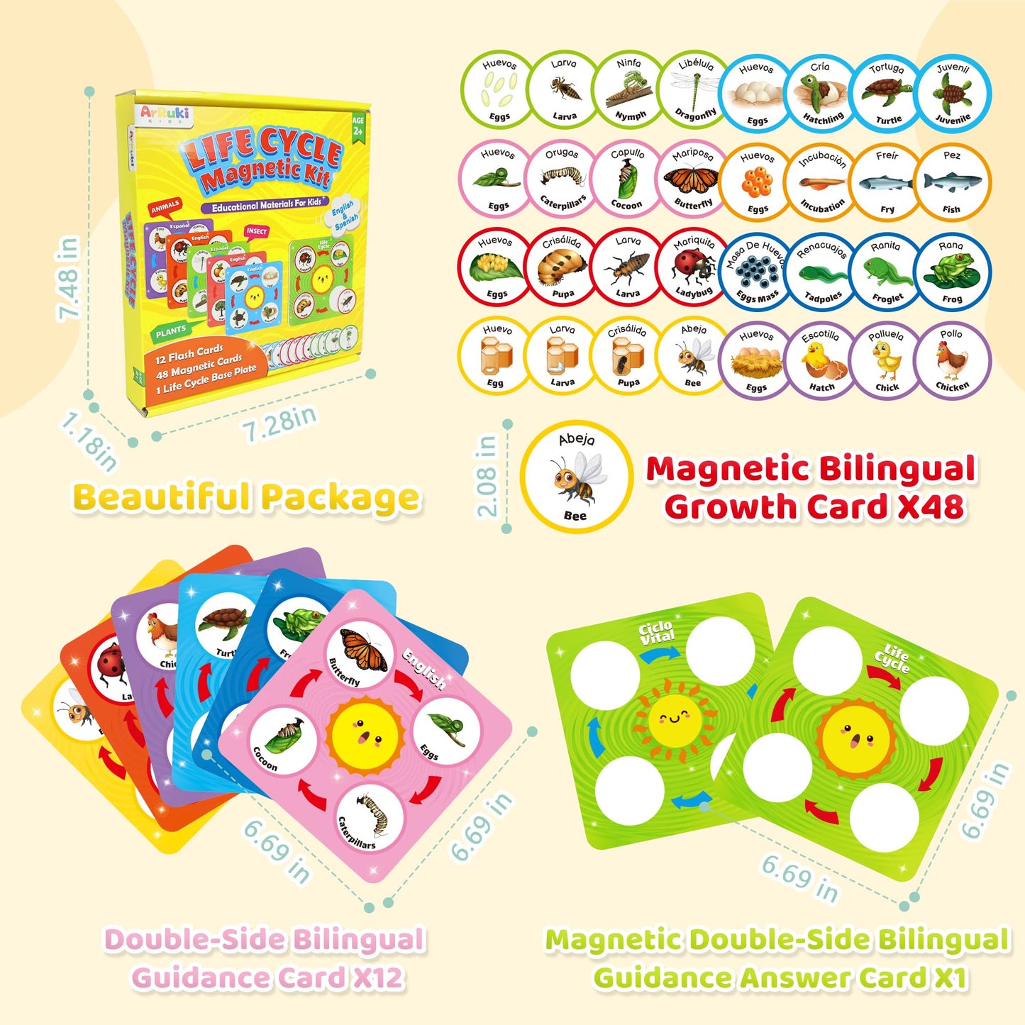 Complete contents of the imported Montessori matching kit featuring diverse animal and plant growth cycles.