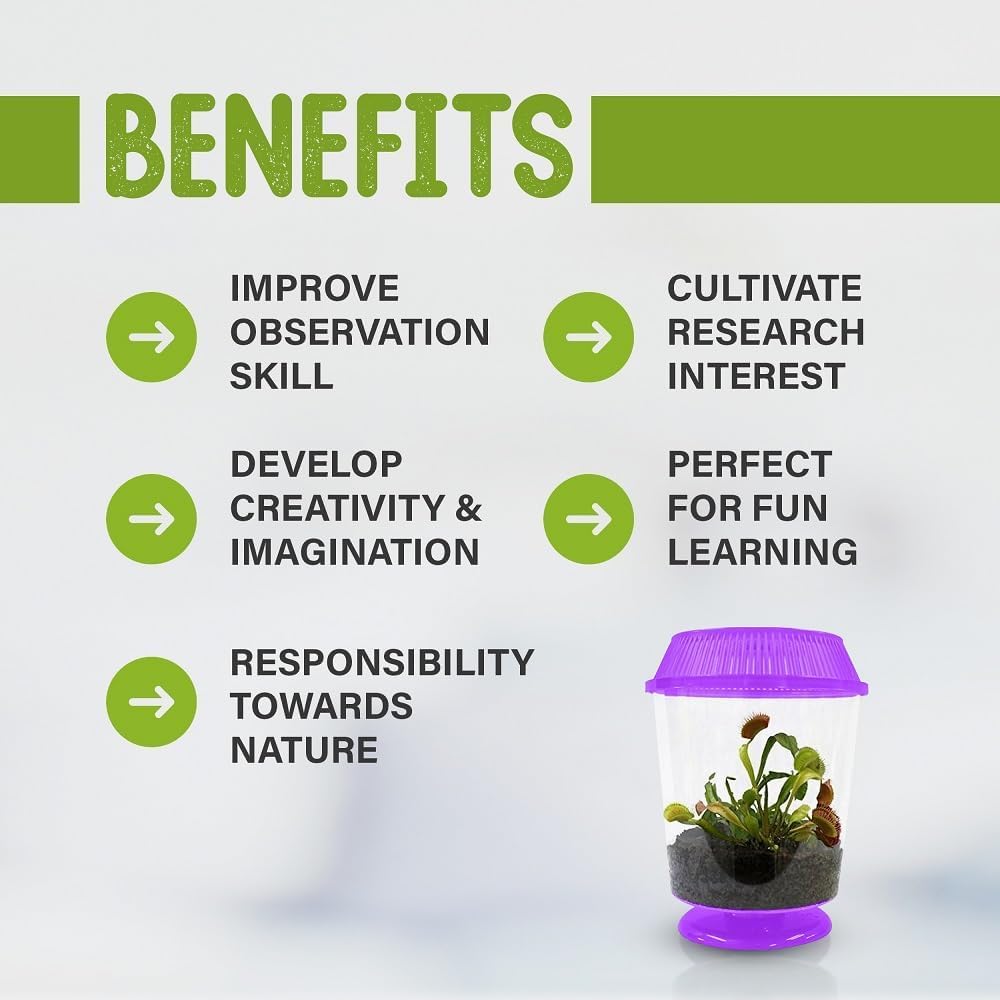 Vibrant indoor lifestyle display of the purple Venus Flytrap terrarium sitting on a sunny windowsill.