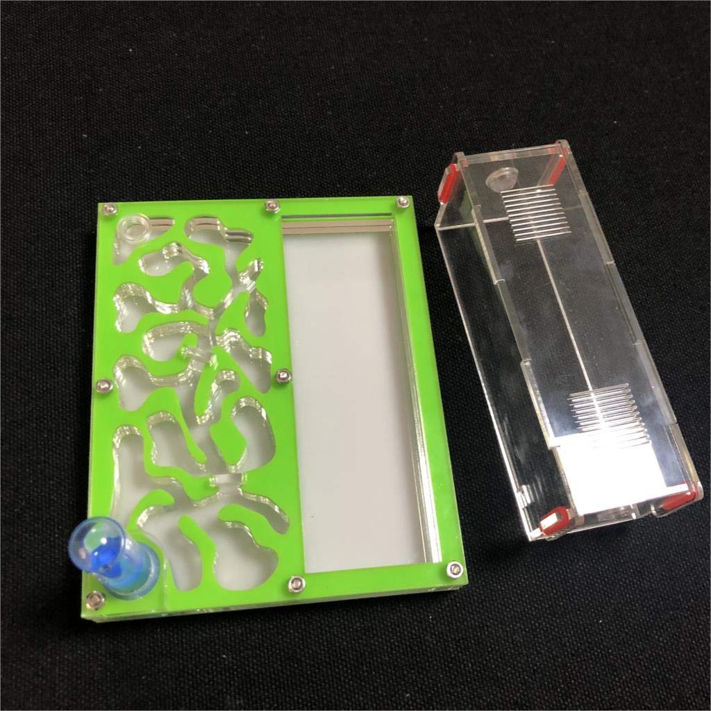 ANT GRAPE educational ant workshop side profile showing secure ventilation lids and clear acrylic panels.