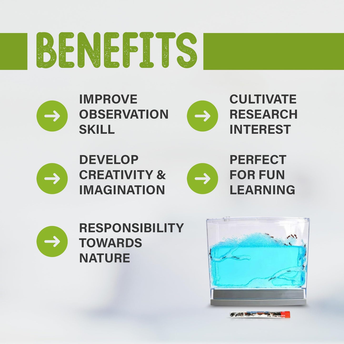 Escape proof clear plastic ant habitat tank designed for STEM learning and school science projects